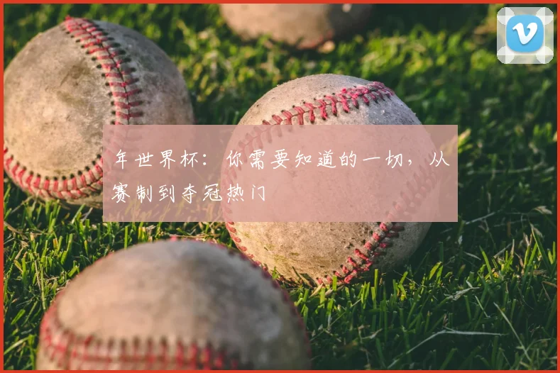 年世界杯：你需要知道的一切，从赛制到夺冠热门