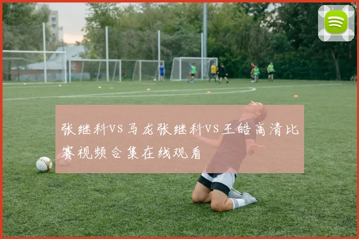张继科vs马龙张继科vs王皓高清比赛视频合集在线观看