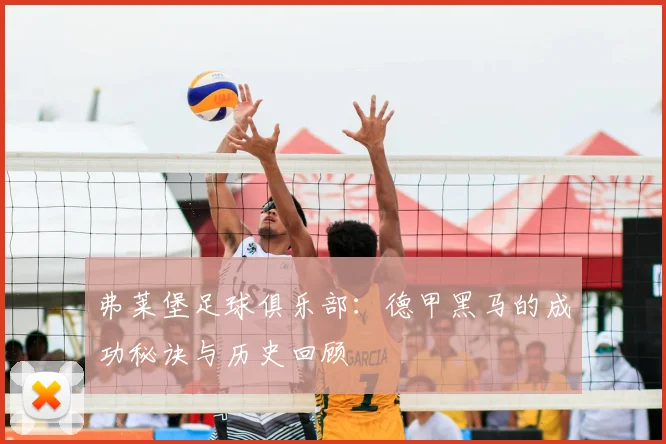 弗莱堡足球俱乐部：德甲黑马的成功秘诀与历史回顾